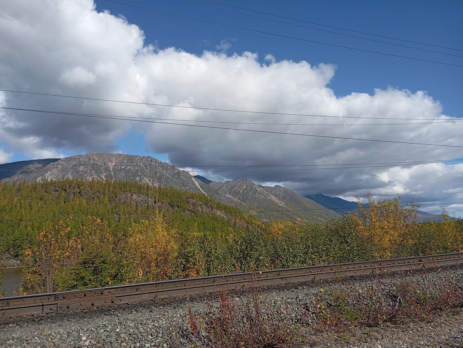 IMG_20250909_124345.jpg