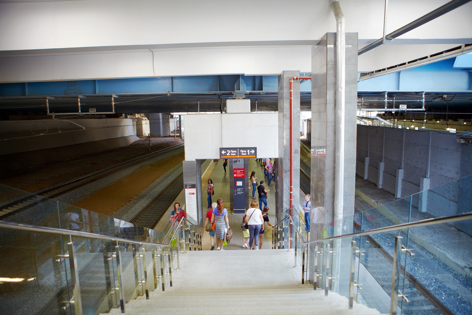 _MG_6784.jpg